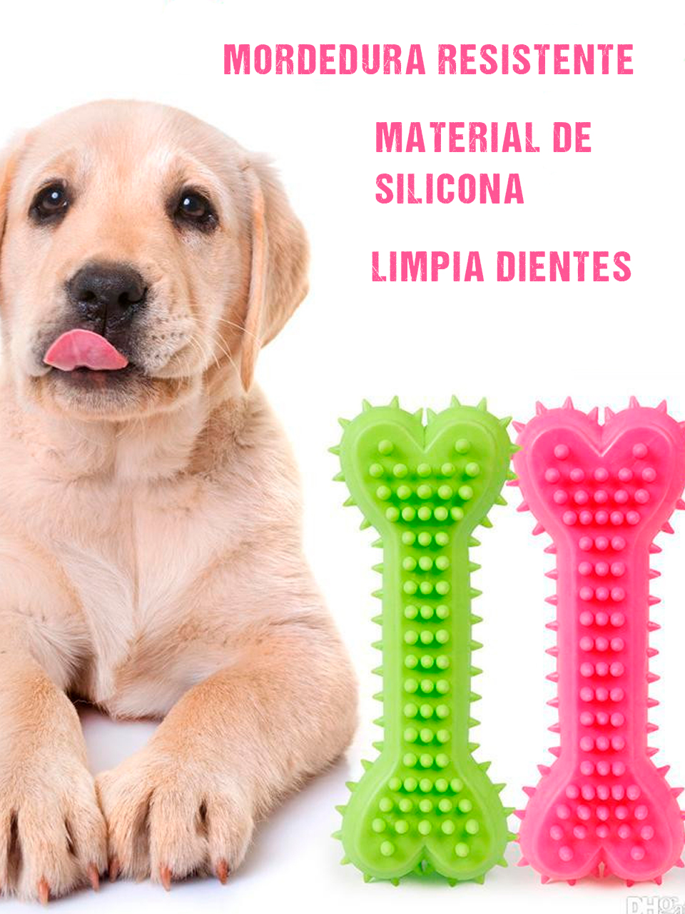 Hueso Macizo Juguete Limpiador De Diente